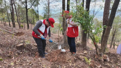 义务植树正当时！干部职工共建绿美梅县