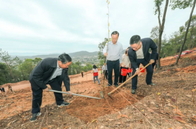 增添一片绿意！梅县区组织开展义务植树活动