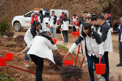 平远热柘掀起绿美共建热潮 政企联动共绘生态新图景