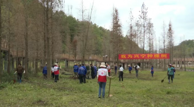 不负春光！兴宁市林业部门开展“我为兴宁种棵树”活动