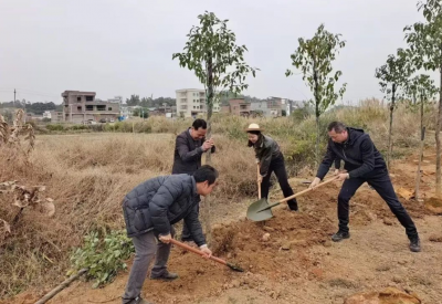 抢抓春光添新绿！五华县梅林镇开展植树活动