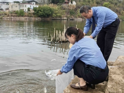 兴宁检察：携手增殖放流，共护水库生态