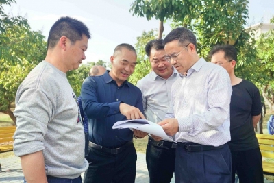 陈元星到兴宁市合水镇调研督导“百千万工程”实施等工作