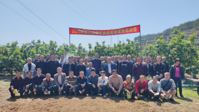 2025年梅州柚春季果园管理培训会举办：农业科技人才下沉一线 筑牢梅州柚“智慧根基”