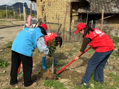 平远县发展和改革局开展“扩绿植绿护绿兴绿”主题党日活动