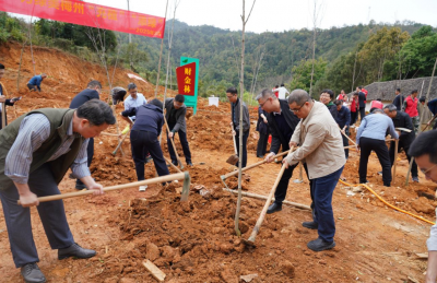 梅州市财政局牵头组织开展“财金林”“金融林”主题林植树增绿活动