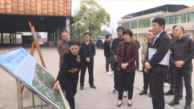 省发展改革委调研组到丰顺县调研产业发展情况