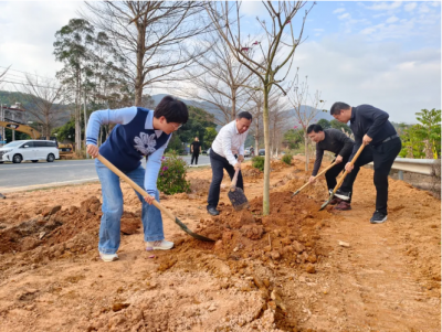 市县统战部领导干部携手植新绿