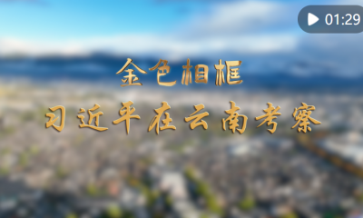 金色相框丨习近平在云南考察