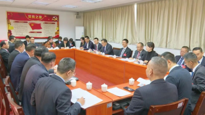 王锋参加区二届人大五次会议分组讨论 奋力推动“百千万工程”实现“三年初见成效”