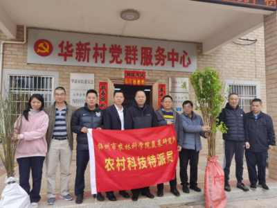 农村科技特派员到五华华阳镇开展科技下乡送种苗活动