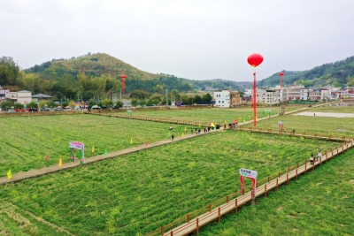 兴宁举办“紫云英+”系列活动，绘就农文旅融合多彩画卷