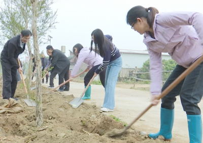 蕉岭县委统战部：植树添绿靓家园   携手共建同心林 