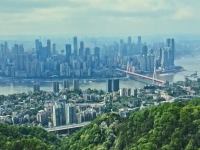 跟着总书记上两会｜如何推动区域协调发展？代表委员这样说