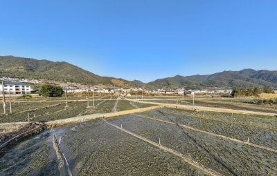 推动特色农业“接二连三”！蓝坊镇立足资源禀赋构建体现特色和优势的产业体系