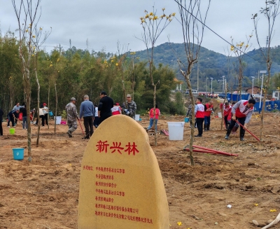 市委社会工作部联合多部门开展“绿美我家 美梅与共”主题党日暨种植“新兴林”活动