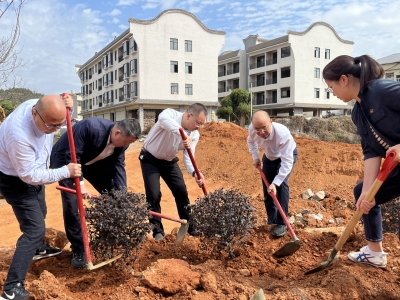 市委宣传部开展“爱绿植绿护绿兴绿”主题党日暨结对共建植树活动