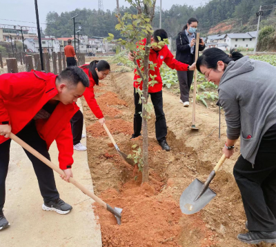 植梦春光里  添绿正当时！蕉岭县检察院组织干警开展植树活动
