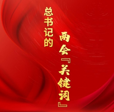 微镜头｜总书记的两会“关键词”