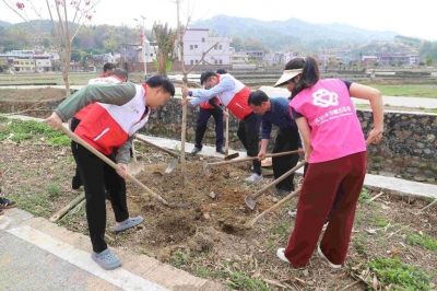“植”此青绿！兴宁市罗岗镇全民植树共绘绿色新图景