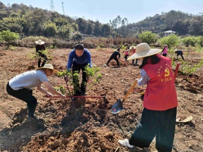 “植”此青绿！兴宁市径南镇掀起植树添绿热潮