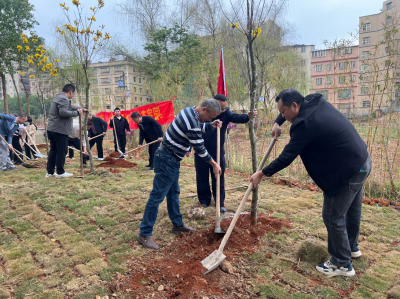 蕉岭县住建局携手建筑企业开展植树活动：政企同心植绿护绿