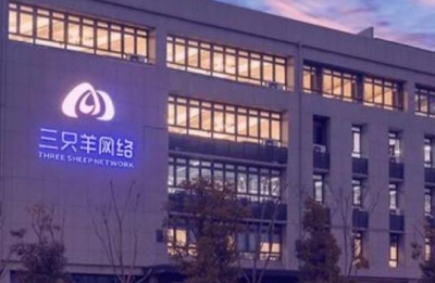 合肥通报“三只羊”整改情况