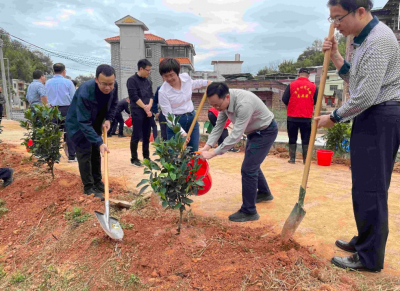兴宁市径南镇胪声村开展2025年植树绿美活动
