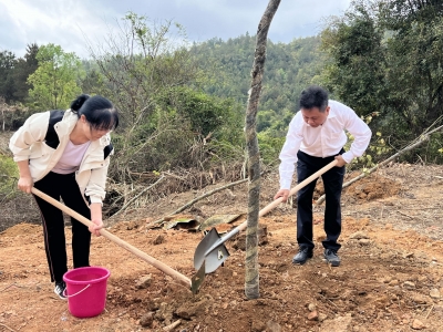 梅州市医保局开展“植绿兴绿”结对共建“医保林”植树活动
