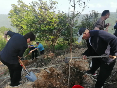 邱翠茂率队到丰顺北斗镇开展义务植树暨“百千万工程”调研工作 