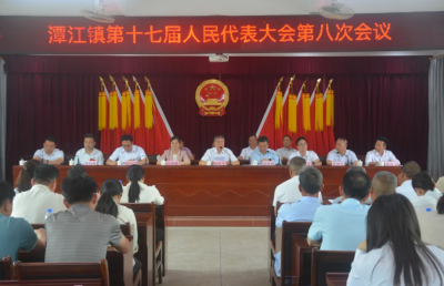 丰顺县潭江镇第十七届人民代表大会第八次会议胜利召开