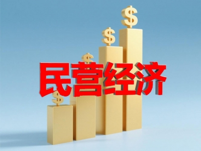 出台民营经济促进法有何重大意义？规定了哪些制度举措？解读来了