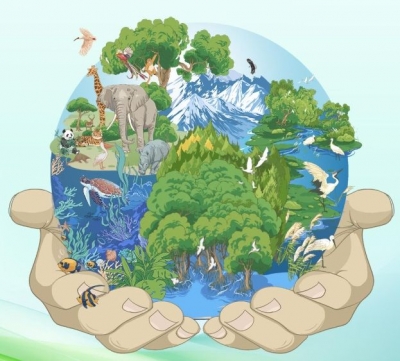 近观“两山”丨守护好蓝色星球