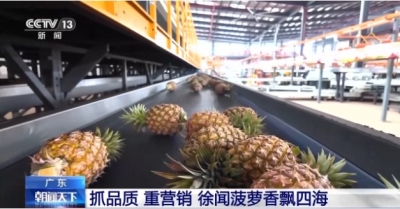 南粤之窗丨水果大省的“新出路”