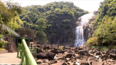 赏美景 泡温泉！清明假期丰顺文旅市场迎来“春暖花开”