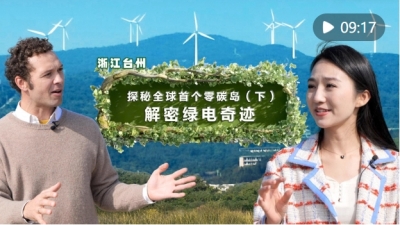 全球连线｜探秘零碳岛（下集）——解密绿电奇迹