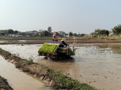 万象耕新不负春！兴宁永和镇多措并举保障春耕工作