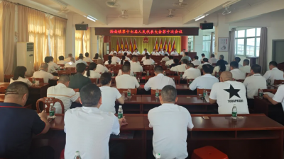 刘坚当选丰顺县汤南镇镇长