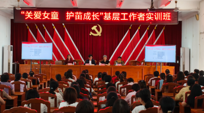 兴宁市坭陂镇举办“关爱女童 护苗成长” 基层工作者实训班
