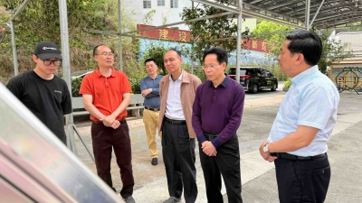 马志元到五华县安流镇调研“百千万工程”典型村建设