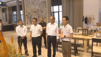 星海音乐学院一行到蕉岭调研驻镇帮镇扶村工作