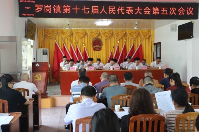 兴宁市罗岗镇第十七届人民代表大会第五次会议召开
