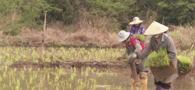 五华：推进高标准农田建设 促进农业增产稳产