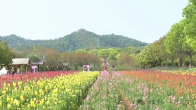 趁清明时节春光好，到平远郊游踏青赏春景吧~