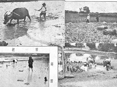 《梅县大观》（1936年）：民国梅县农村妇女生活一瞥