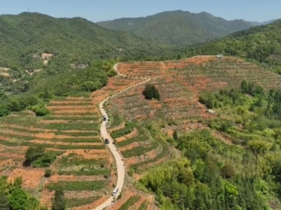 春茶正飘香！平远下黄地村采茶制茶产销忙