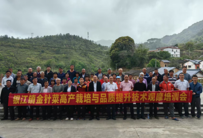 驻大埔县银江镇科技特派员团队举行金针菜观摩培训会