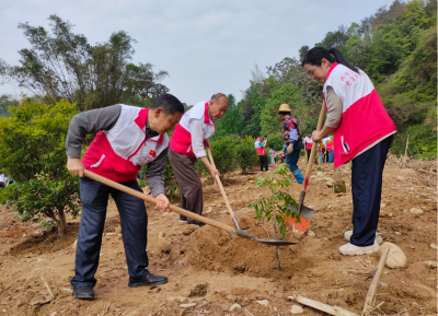 “夕阳红”赋能“生态绿” ！梅江区开展“共建银发林 共植一片绿”义务植树活动