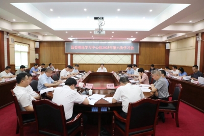 丰顺县委理论学习中心组举行2025年第六次学习会