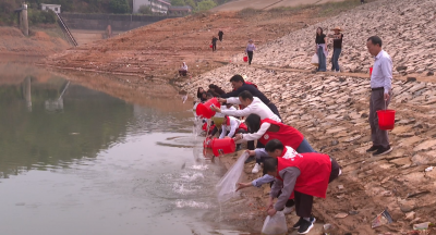 投放鱼苗5万多尾！平远县农业农村和水务局开展鱼类增殖放流活动